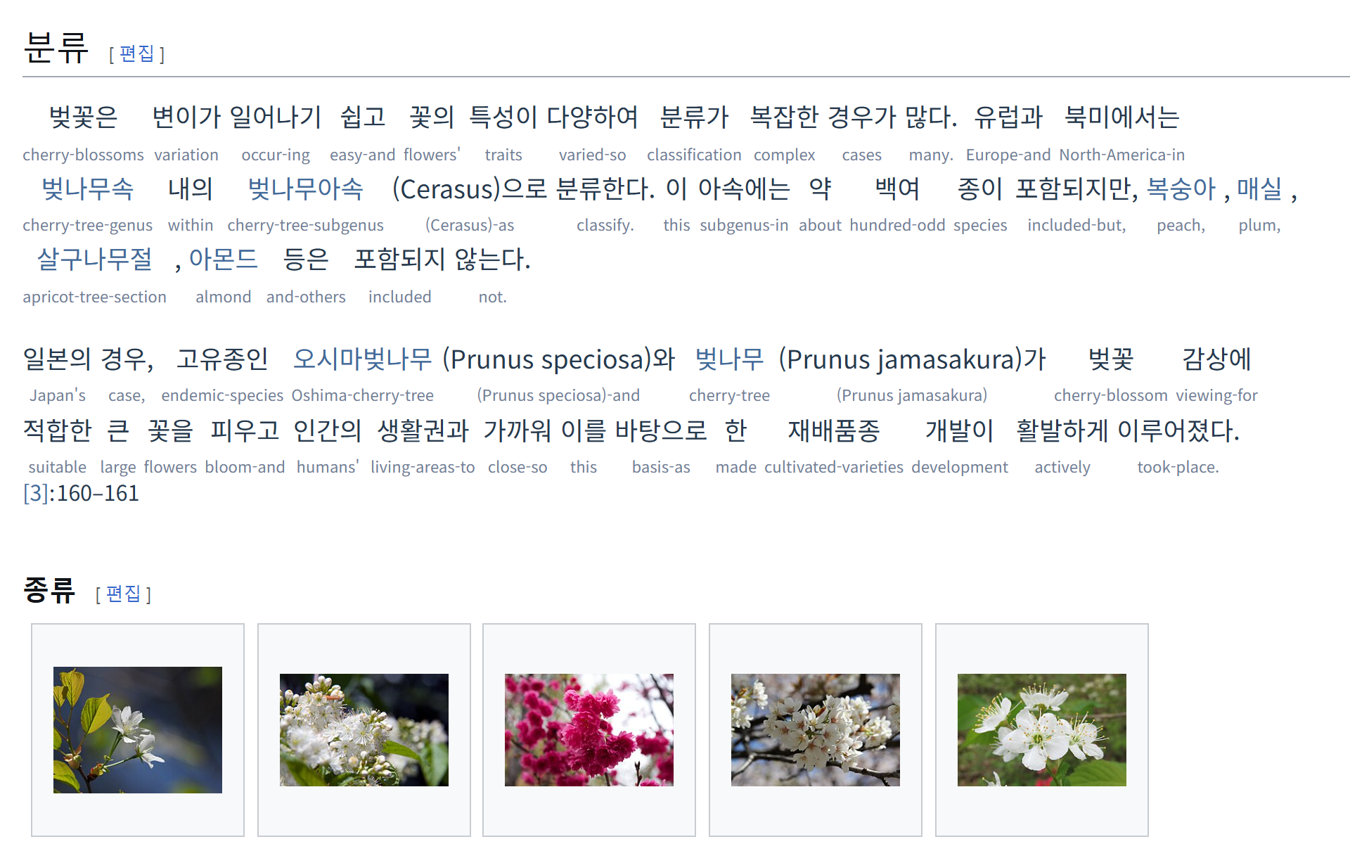 Reviewed preview of Interlign browser extension glosses on a Korean Wikipedia cherry blossom article